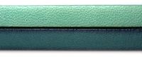 mint / blaugrün